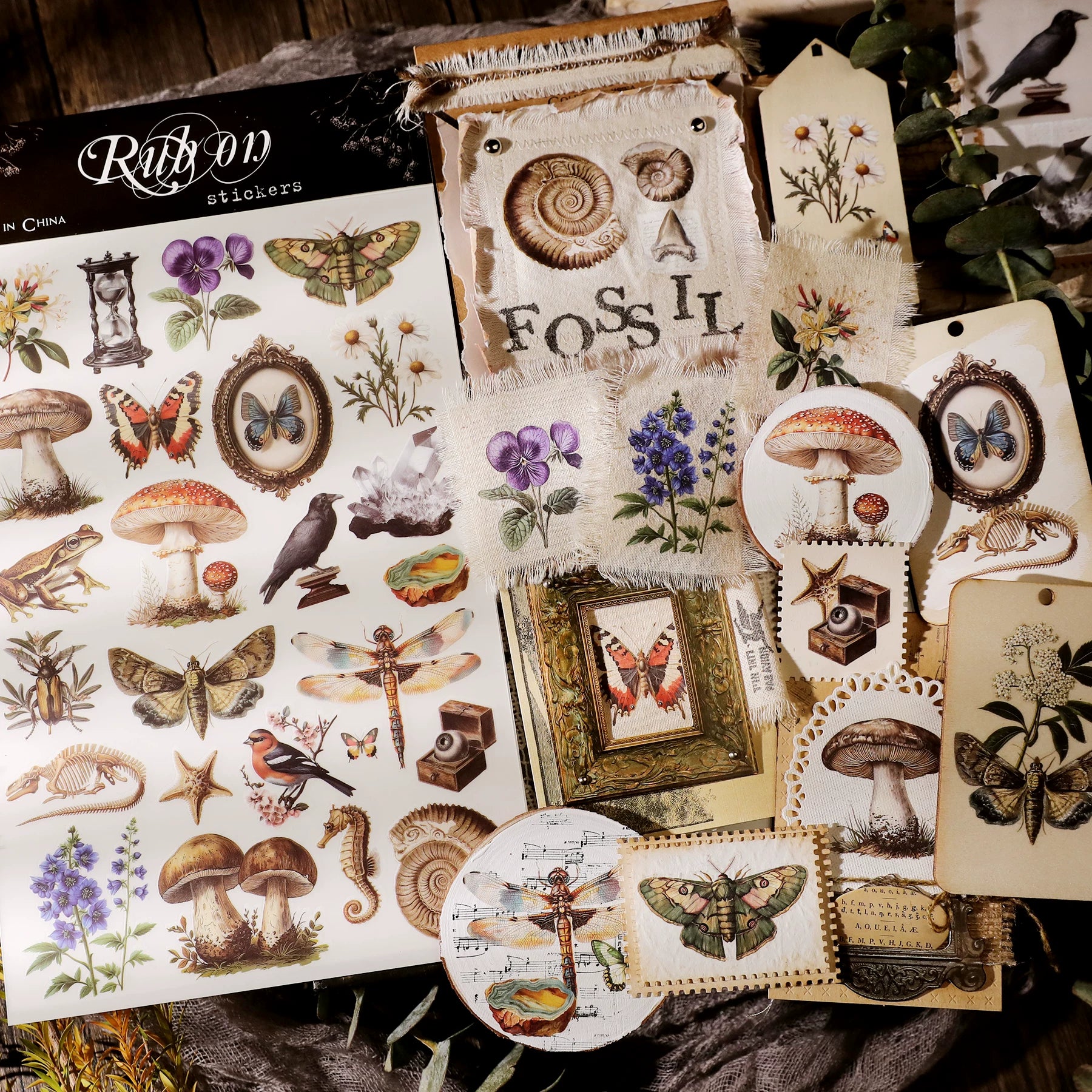 Fossils Matte Rub-on Transfers