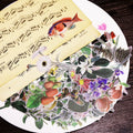 50PCS Larger Plants Vellum Stickers