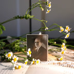 Retro Old Photos Vellum Stickers