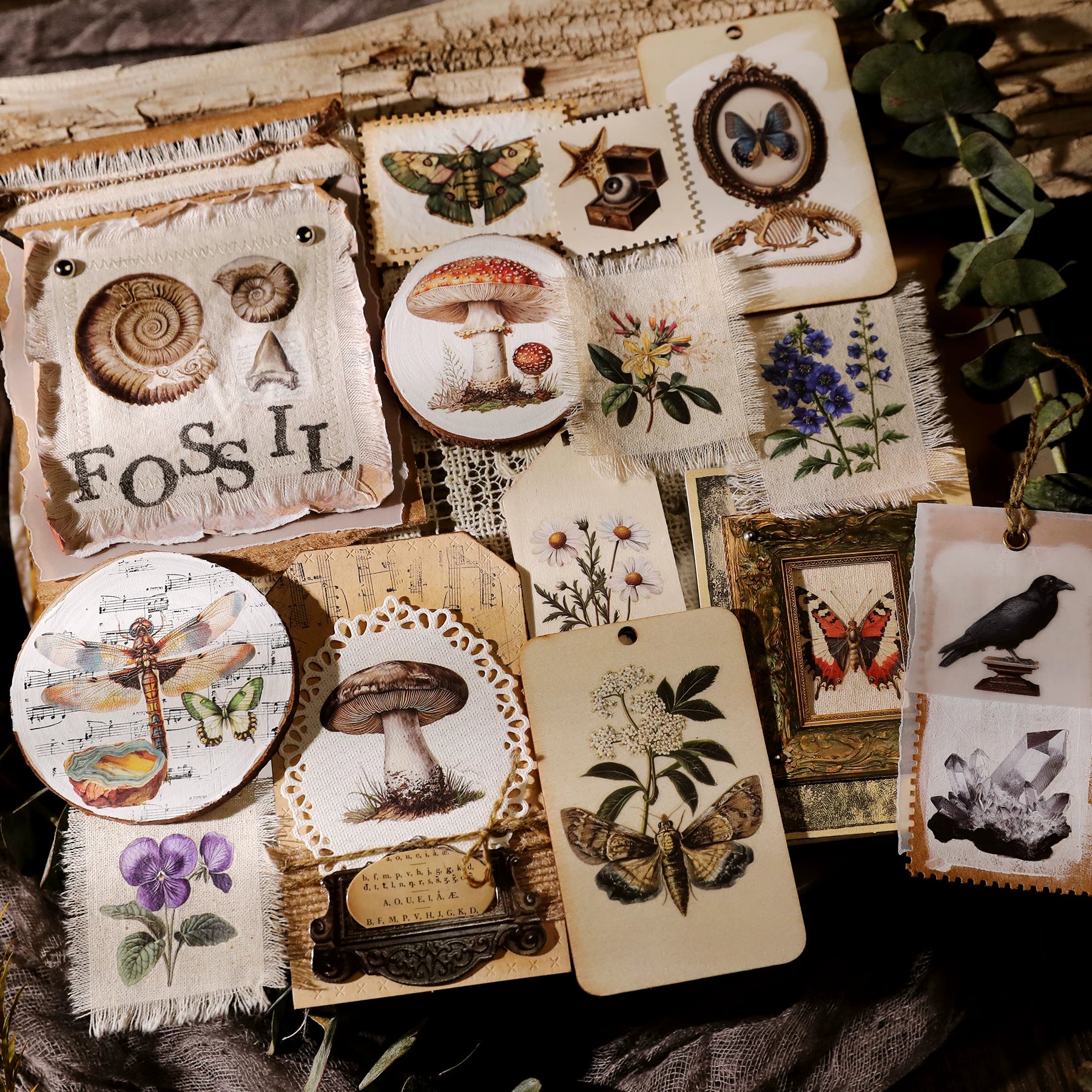 Fossils Matte Rub-on Transfers