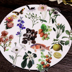 50PCS Larger Plants Vellum Stickers