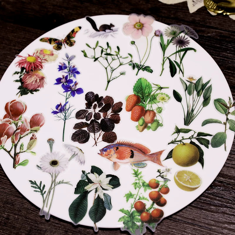 50PCS Larger Plants Vellum Stickers