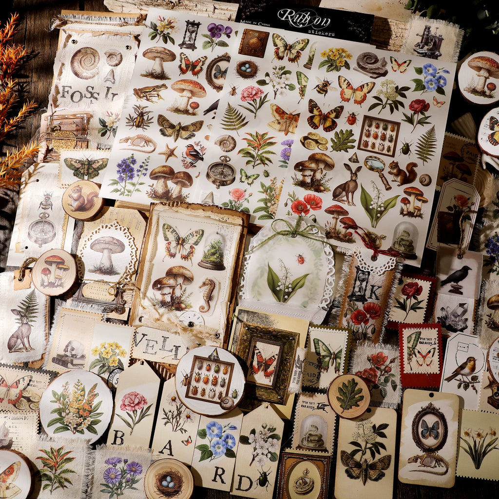 Fossils Matte Rub-on Transfers