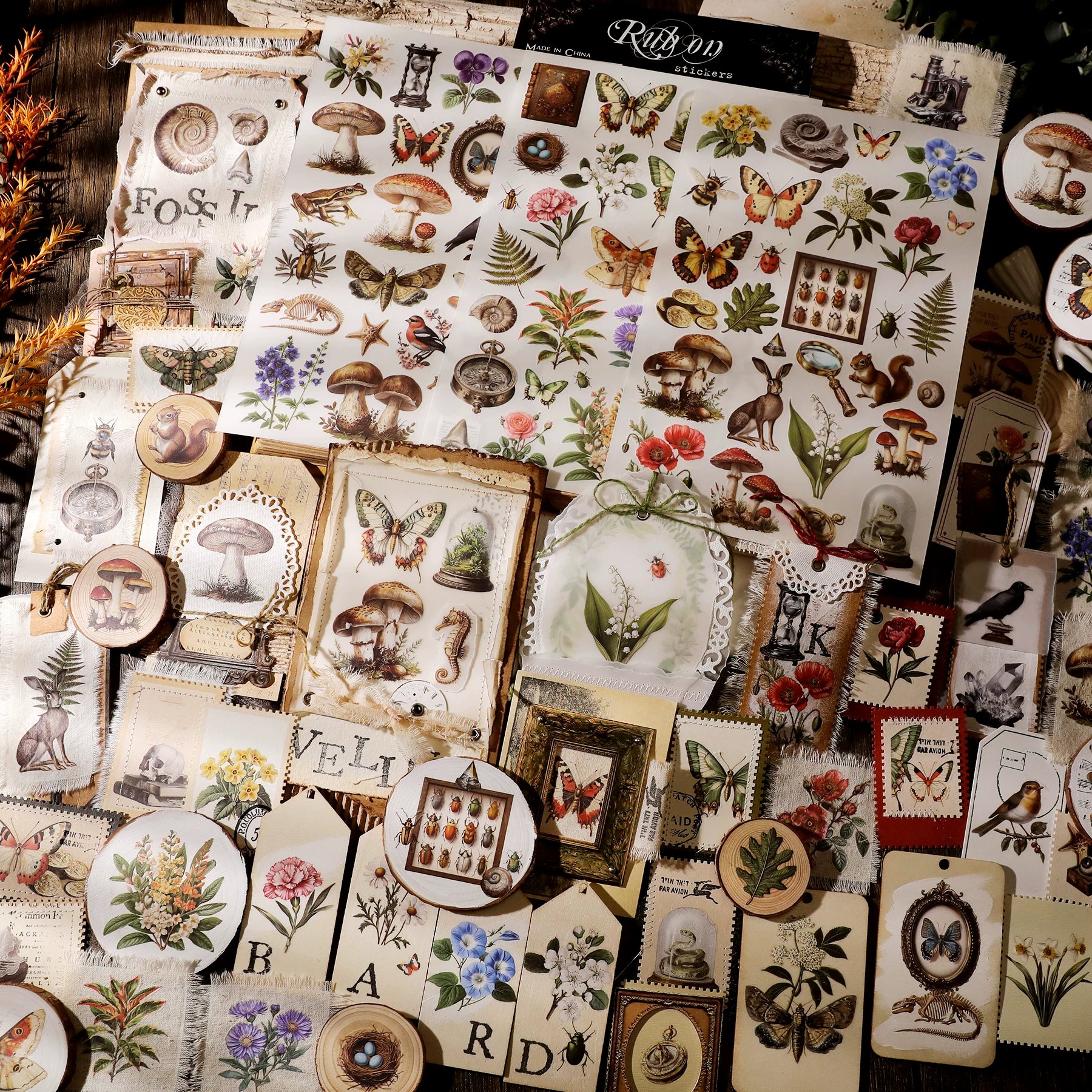 Fossils Matte Rub-on Transfers