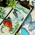 Tropical Plants and Butterflies Vellum Stickers
