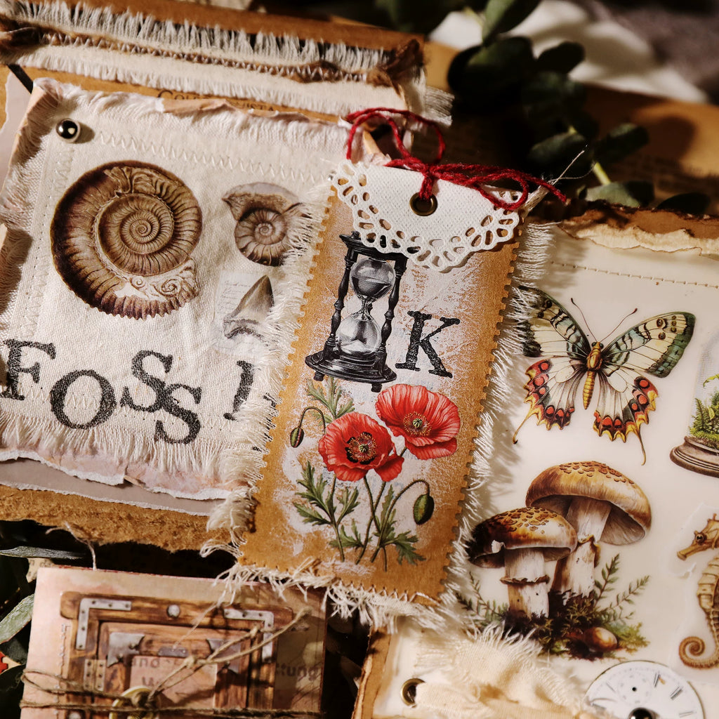 Fossils Matte Rub-on Transfers