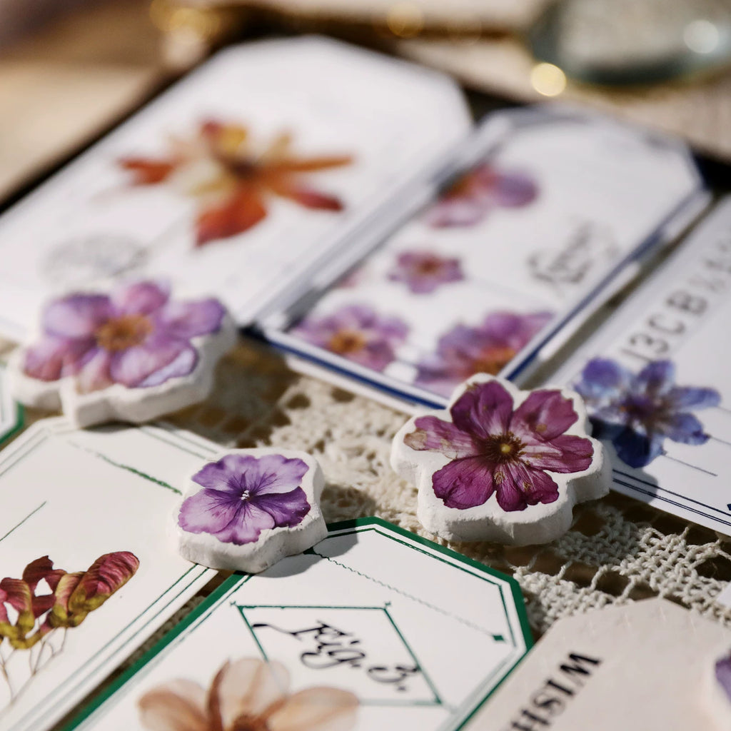 Autumn Dried Flowers Matte Rub-on Transfers