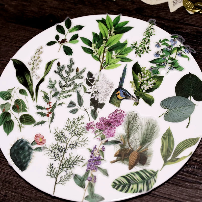 50PCS Larger Plants Vellum Stickers