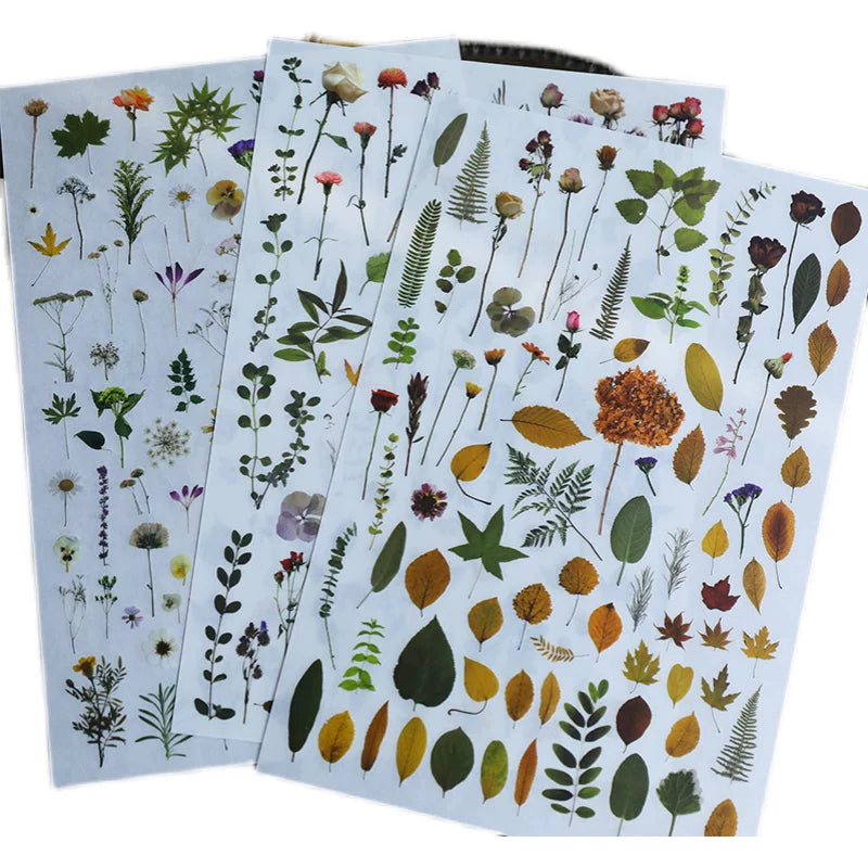 Green Dried Flowers Matte Rub-on Transfers