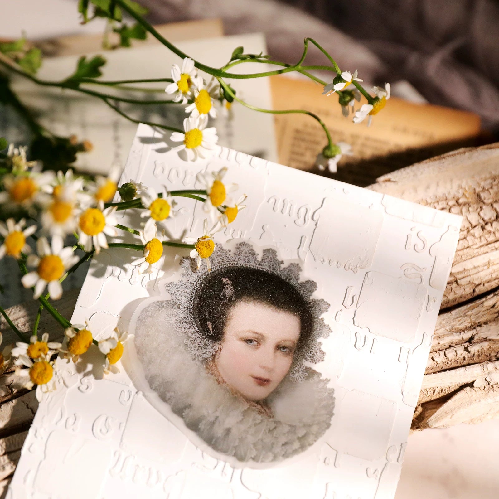 Classical Copperplate Prints Vellum Stickers