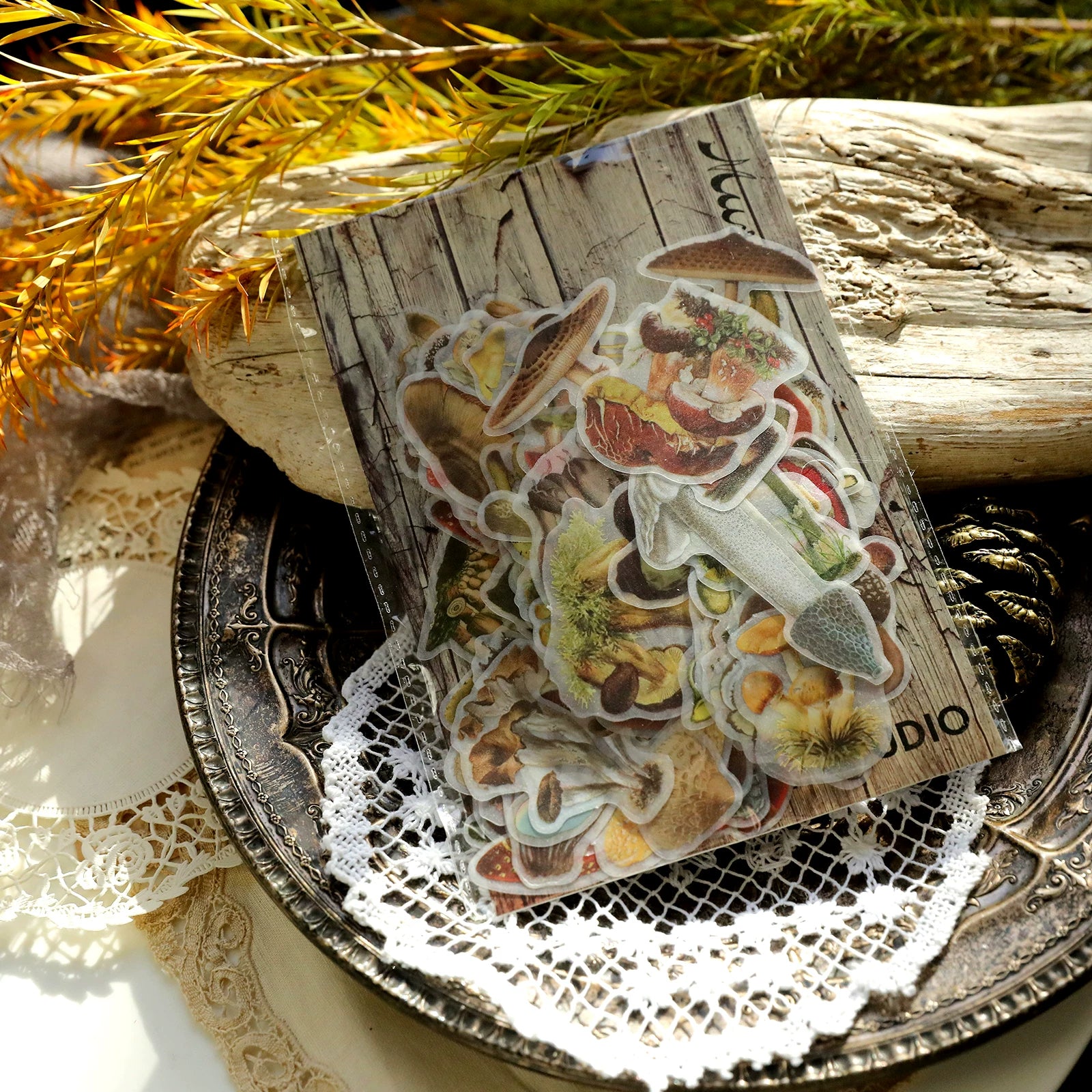 Little Mushroom Vellum Stickers