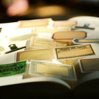 Silhouette Vellum Stickers
