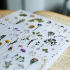 Green Dried Flowers Matte Rub-on Transfers