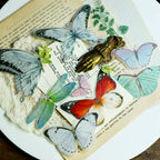 Tropical Plants and Butterflies Vellum Stickers