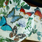 Tropical Plants and Butterflies Vellum Stickers