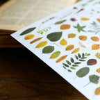 Green Dried Flowers Matte Rub-on Transfers