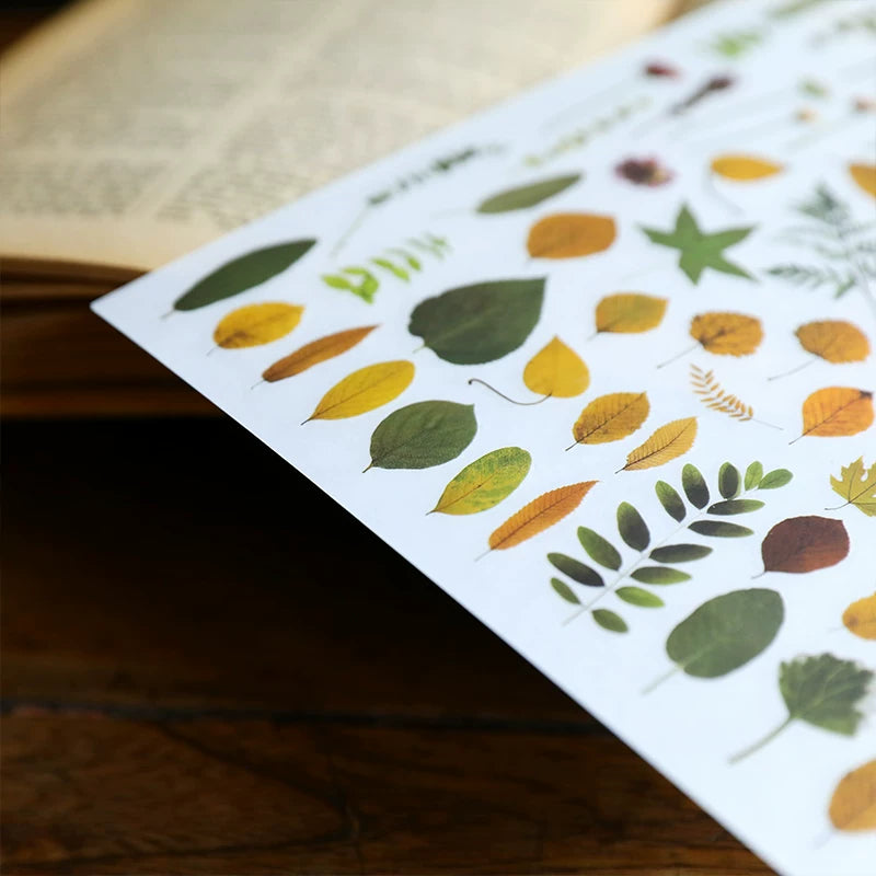 Green Dried Flowers Matte Rub-on Transfers
