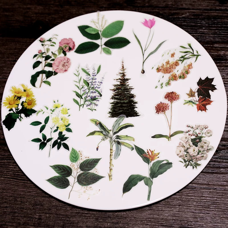 50PCS Larger Plants Vellum Stickers