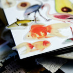 Life Encyclopedia Vellum Stickers
