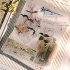 Background Base Vellum Stickers