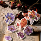 Autumn Dried Flowers Matte Rub-on Transfers