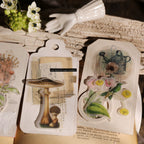 Background Base Vellum Stickers