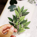 50PCS Larger Plants Vellum Stickers