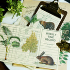 Tropical Plants and Butterflies Vellum Stickers