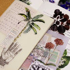 50PCS Larger Plants Vellum Stickers