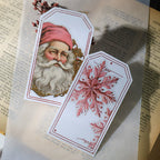 Pink Christmas Vellum Stickers