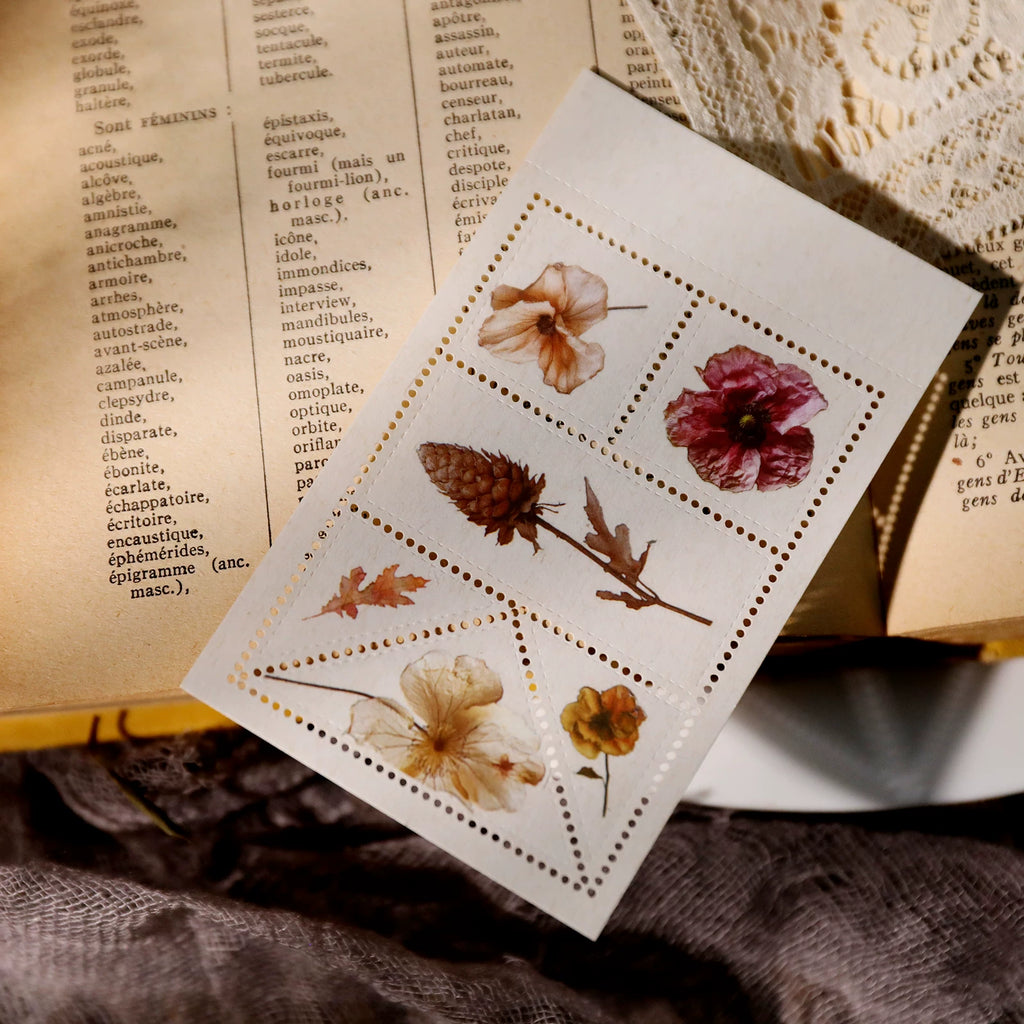 Autumn Dried Flowers Matte Rub-on Transfers
