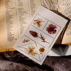 Autumn Dried Flowers Matte Rub-on Transfers
