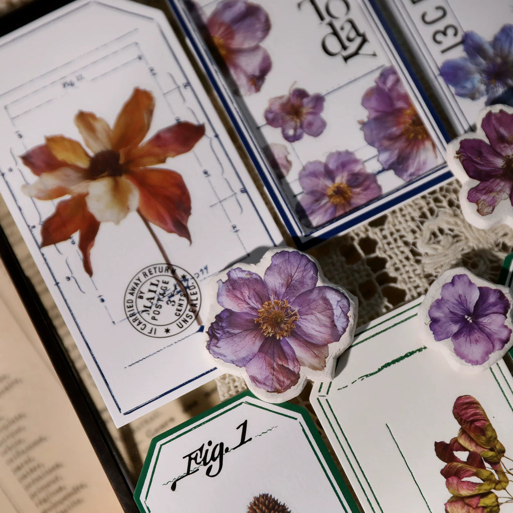 Autumn Dried Flowers Matte Rub-on Transfers