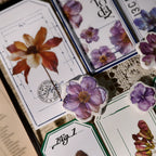 Autumn Dried Flowers Matte Rub-on Transfers