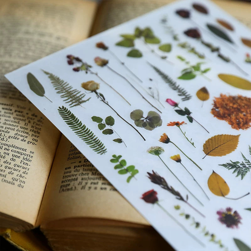 Green Dried Flowers Matte Rub-on Transfers