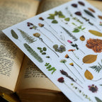 Green Dried Flowers Matte Rub-on Transfers