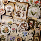 Fossils Matte Rub-on Transfers