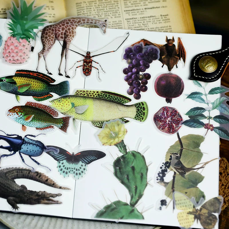 Life Encyclopedia Vellum Stickers