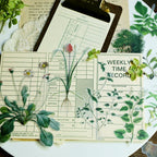 Tropical Plants and Butterflies Vellum Stickers