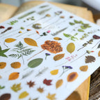 Green Dried Flowers Matte Rub-on Transfers