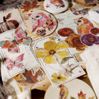 Owl Matte Rub-on Transfers