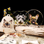 Pets UV-DTF Rub-on Stickers