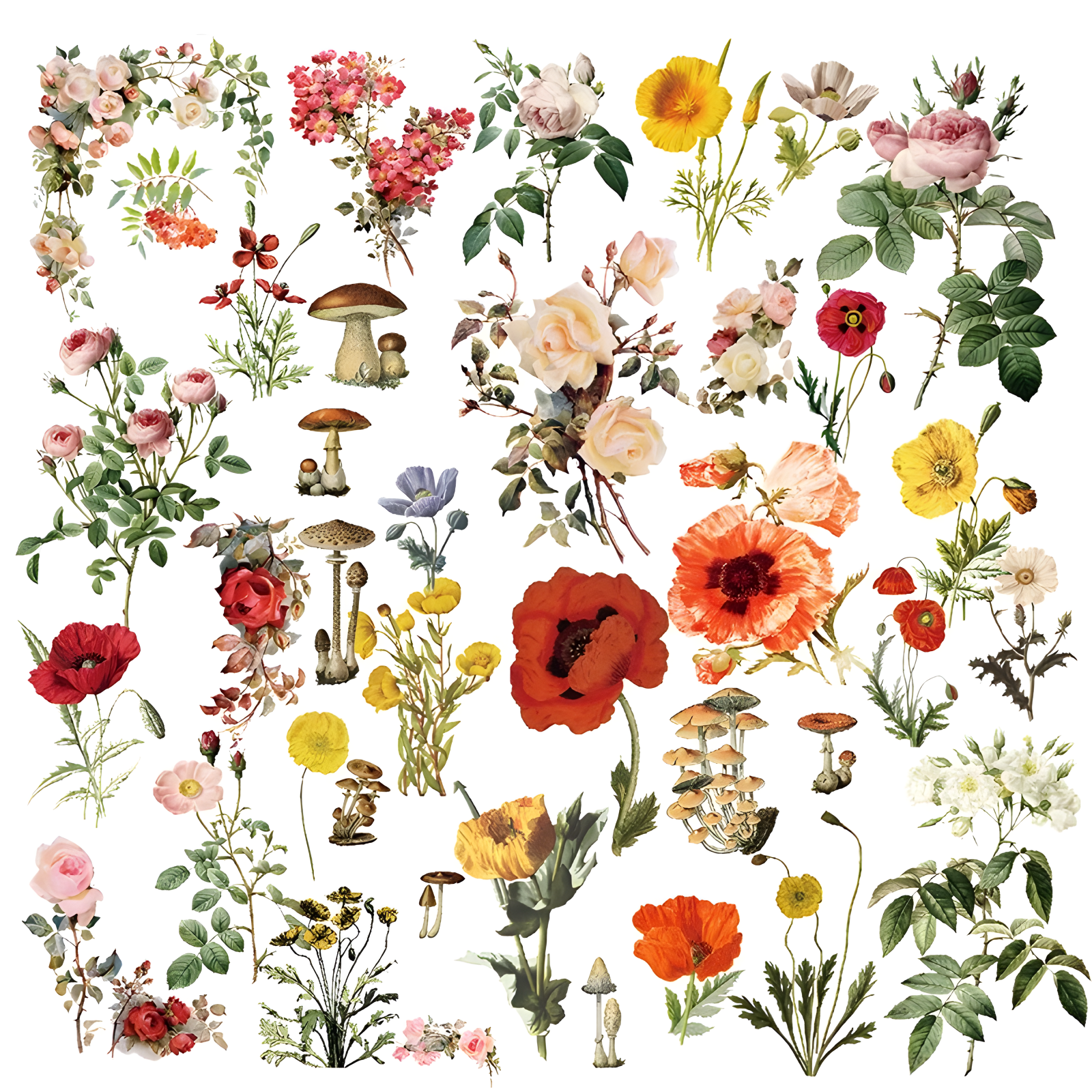Larger Flowers Vellum Stickers