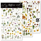 Green Dried Flowers Matte Rub-on Transfers