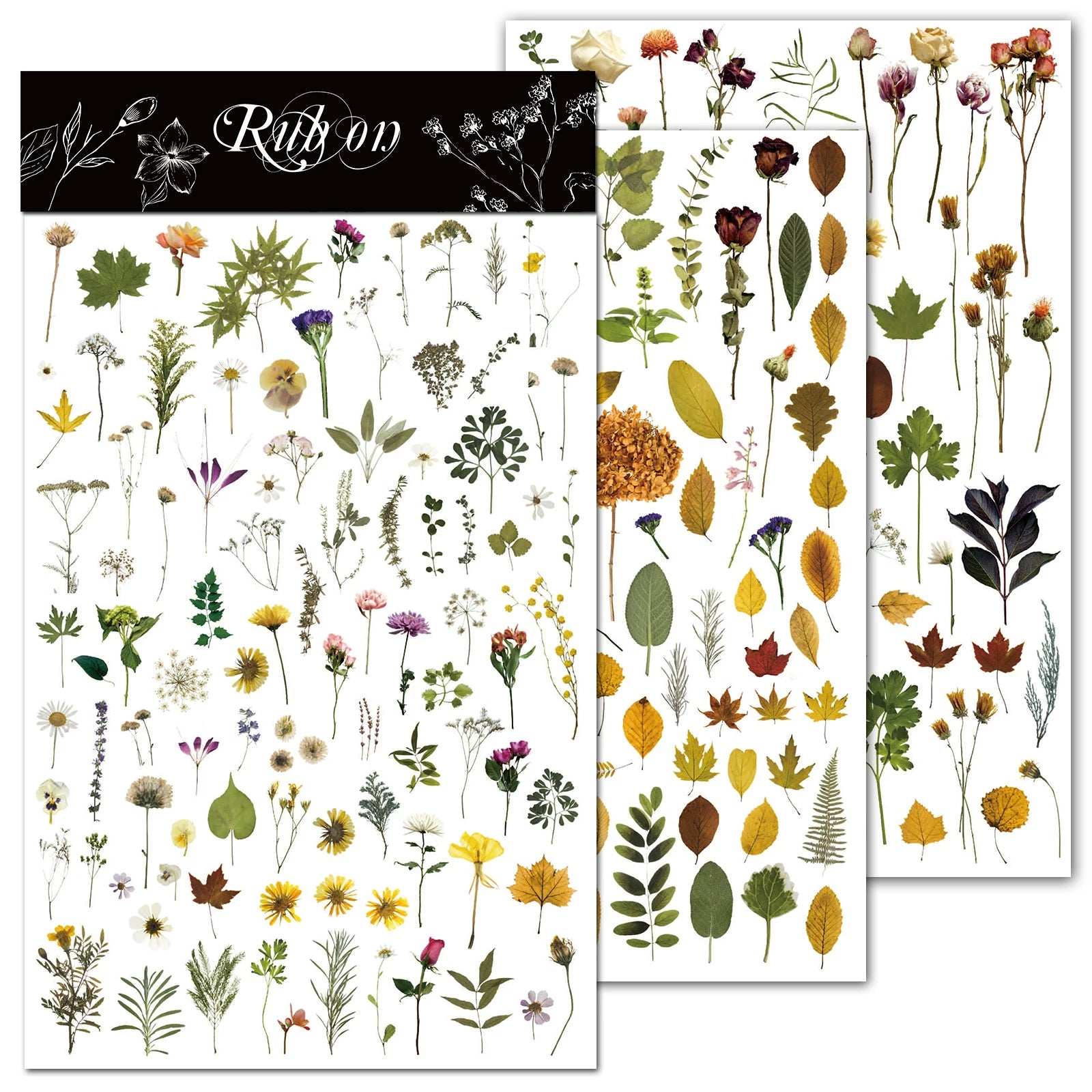Green Dried Flowers Matte Rub-on Transfers
