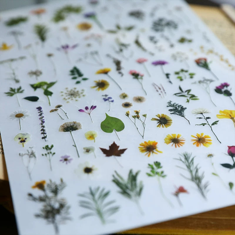 Green Dried Flowers Matte Rub-on Transfers