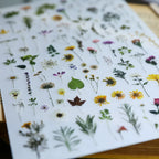 Green Dried Flowers Matte Rub-on Transfers