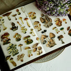 Little Mushroom Vellum Stickers