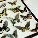 Little Butterfly Vellum Stickers