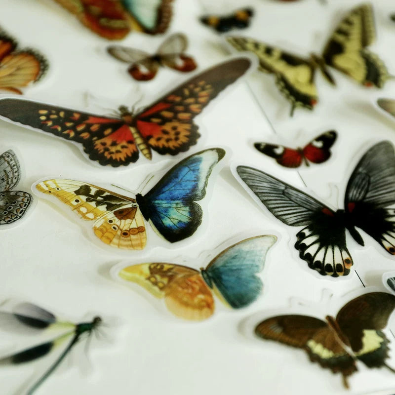 Little Butterfly Vellum Stickers